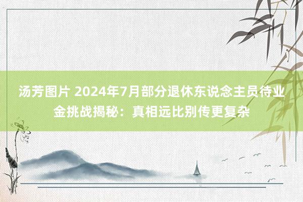 汤芳图片 2024年7月部分退休东说念主员待业金挑战揭秘：真相远比别传更复杂