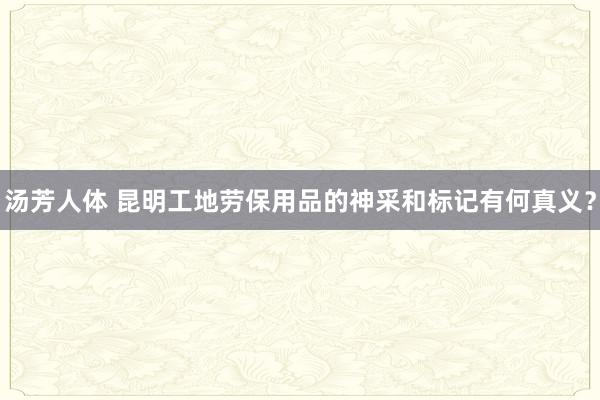 汤芳人体 昆明工地劳保用品的神采和标记有何真义？