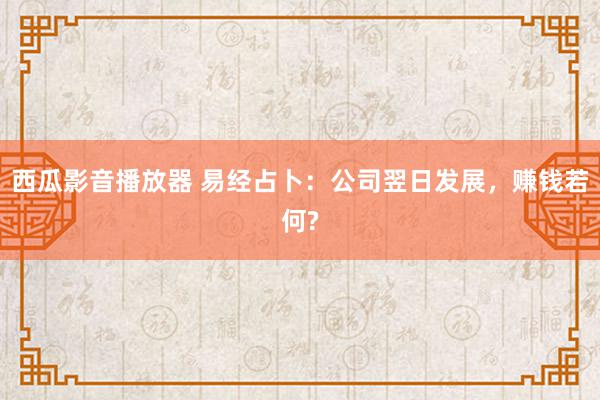 西瓜影音播放器 易经占卜：公司翌日发展，赚钱若何?