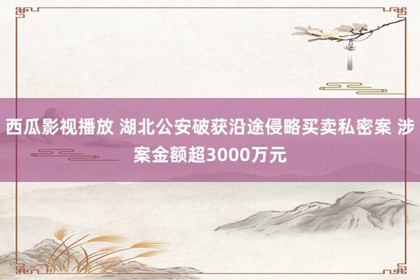 西瓜影视播放 湖北公安破获沿途侵略买卖私密案 涉案金额超3000万元