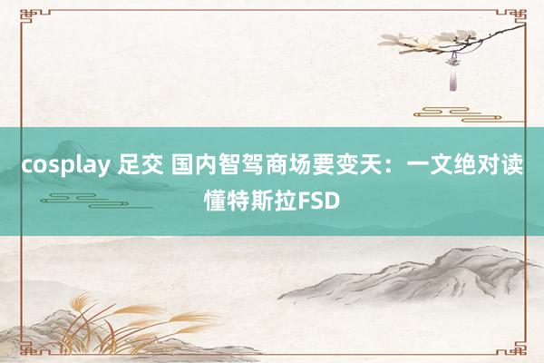 cosplay 足交 国内智驾商场要变天：一文绝对读懂特斯拉FSD