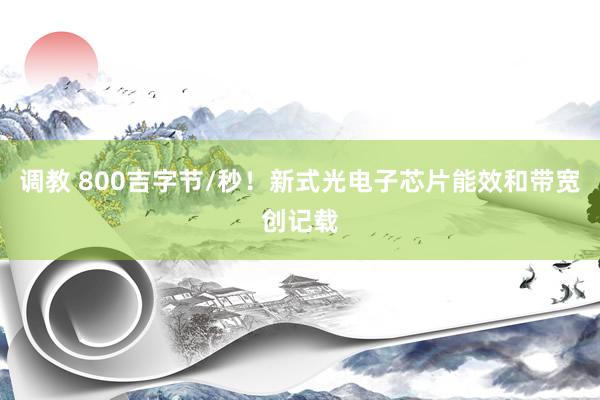 调教 800吉字节/秒！新式光电子芯片能效和带宽创记载