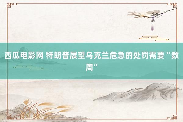 西瓜电影网 特朗普展望乌克兰危急的处罚需要“数周”