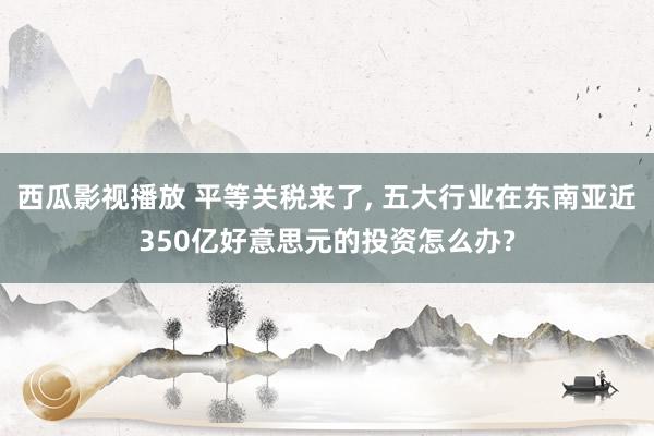西瓜影视播放 平等关税来了, 五大行业在东南亚近350亿好意思元的投资怎么办?
