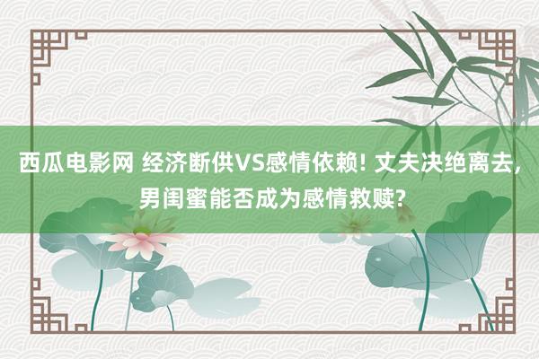 西瓜电影网 经济断供VS感情依赖! 丈夫决绝离去, 男闺蜜能否成为感情救赎?