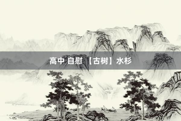 高中 自慰 【古树】水杉